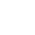Wigzos Logo