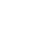 Fizliz logo